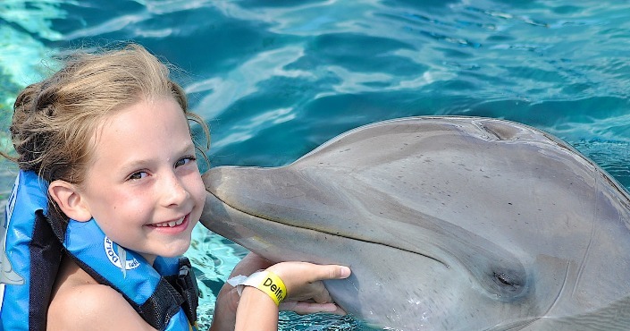 Dolphin Encounter Los Cabos- 